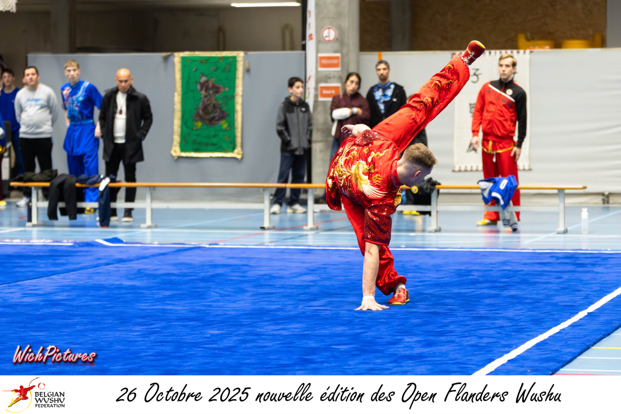 © copyright Wichpictures 2025