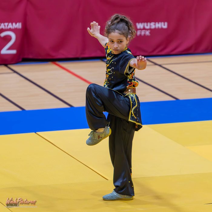 Annabelle à l'open de france wushu sanda et taolu de la ffk Eaubonne 2024