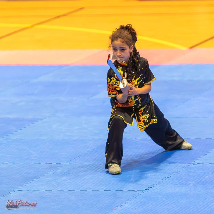 Annabelle à l'open de france wushu sanda et taolu de la ffk Eaubonne 2024