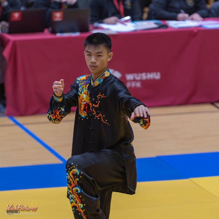 Yann nguyen à l'open de france wushu sanda et taolu de la ffk Eaubonne 2024