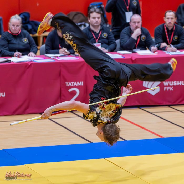 Léandre wichmann à l'open de france wushu sanda et taolu de la ffk Eaubonne 2024