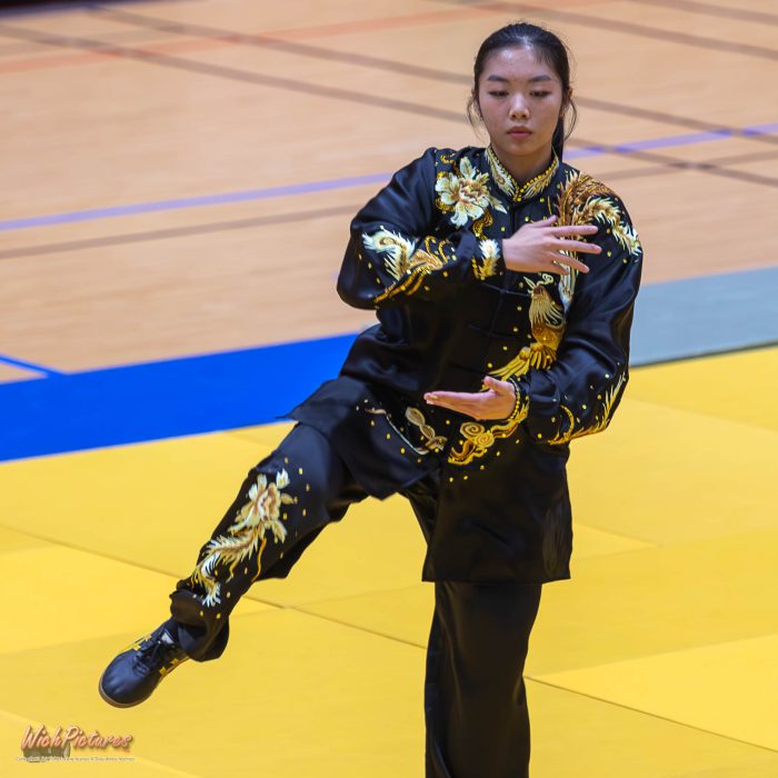 Rubis nguyen à l'open de france wushu sanda et taolu de la ffk Eaubonne 2024