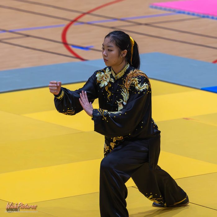 Rubis nguyen à l'open de france wushu sanda et taolu de la ffk Eaubonne 2024