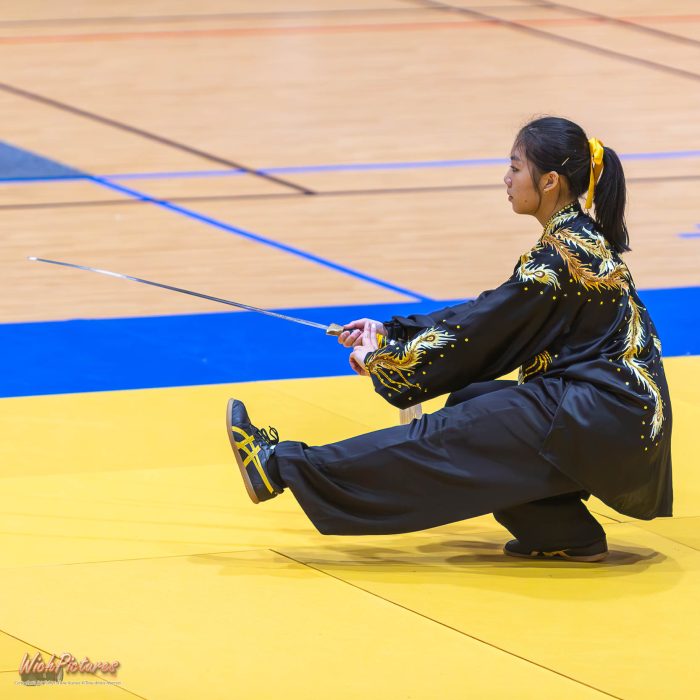 Rubis nguyen à l'open de france wushu sanda et taolu de la ffk Eaubonne 2024